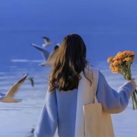 用户KEVAN对七号VPN加速器非常满意。